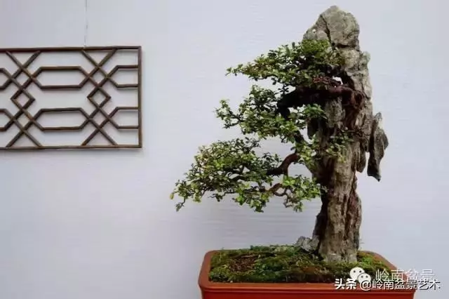 越是大師作品越講究章法嚴謹,看起來更舒暢自然