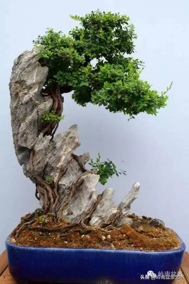 越是大師作品越講究章法嚴謹,看起來更舒暢自然