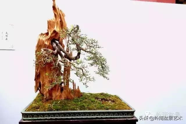 越是大師作品越講究章法嚴謹,看起來更舒暢自然