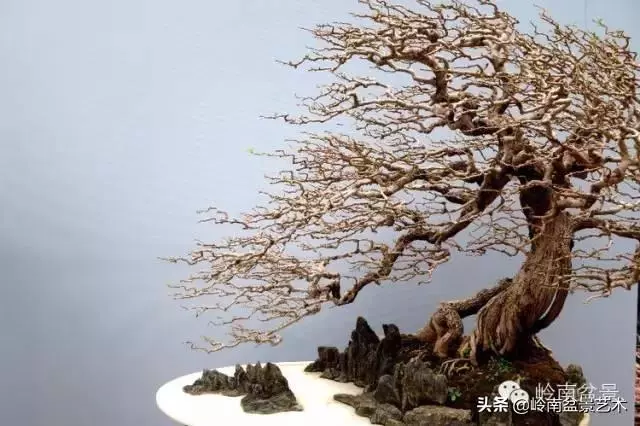 越是大師作品越講究章法嚴謹,看起來更舒暢自然
