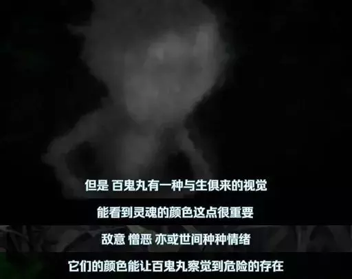 豆瓣9.3!怎麼吹爆這部年近60的「返祖動漫」?