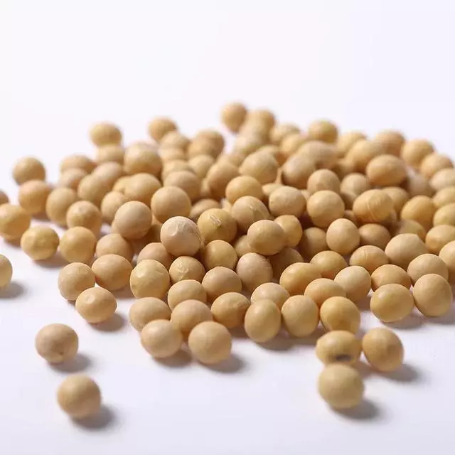 都在說「大豆振興」,原來大豆有這麼多化身