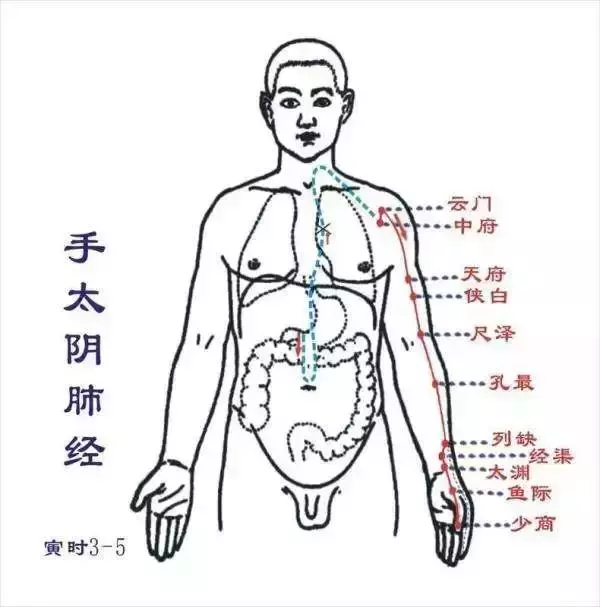 從零學經絡| 怎麼自己動手解決感冒發燒、咳喘、便秘腹瀉等問題