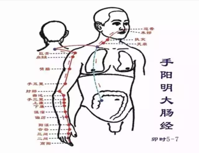 從零學經絡| 怎麼自己動手解決感冒發燒、咳喘、便秘腹瀉等問題