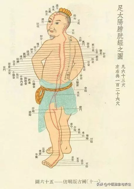 經絡不通生百病,這9個經絡排毒的秘訣要記好!