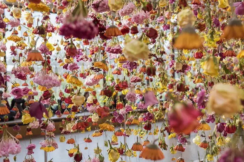 2019不可錯過的「The Flower:心動充電站」主題展