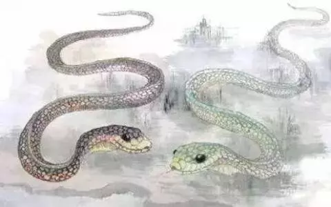 最會賺錢的生肖排行榜,你是第幾呢?