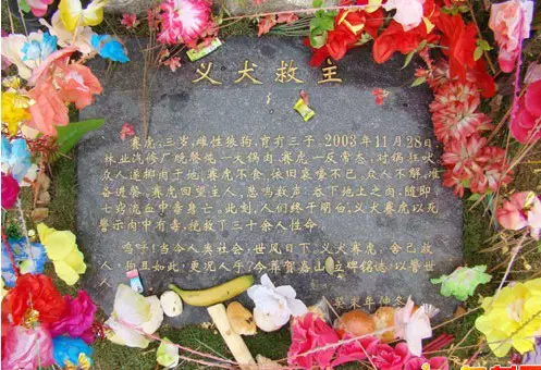 眾人在鍋邊等吃肉,母狗突然對著鍋拚命狂吠,還親自吃掉了地上肉,10分鐘後發生的事讓大家驚呆了!