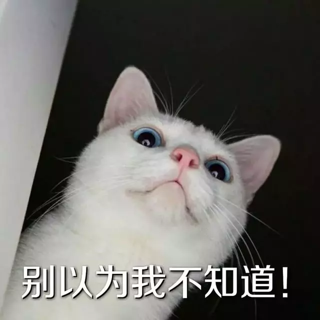 養狗的人表面光鮮亮麗,背後不知道撿過多少屎。