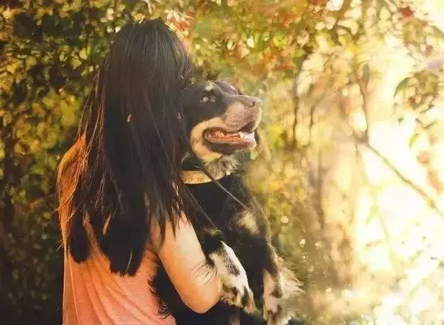 為什麼那麼多人喜歡狗?20個理由回答你...
