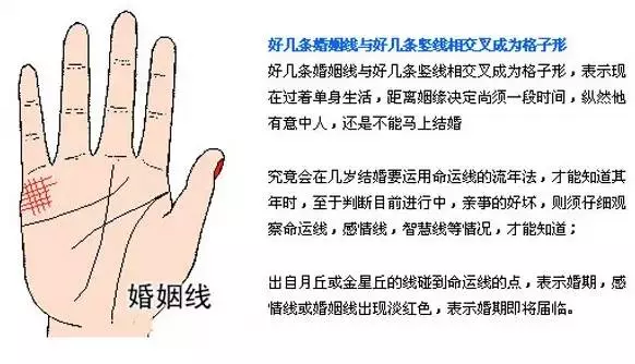 左手看老公 右手看老婆 手相告訴你未來配偶的訊息!