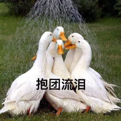 韓網熱議!令人感嘆的EXO保鏢們~還缺人嗎?我可以!