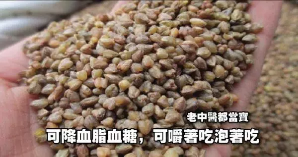 可降血脂血糖,可嚼著吃泡著吃,老中醫都當寶