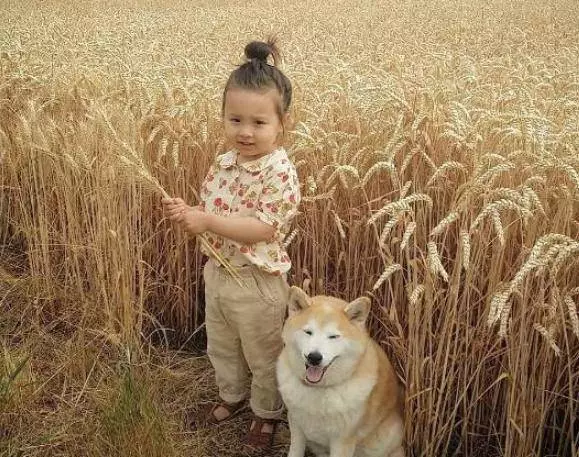 老公去世,婆婆把我和女兒趕出門,幾年後婆婆來求我救救小叔子