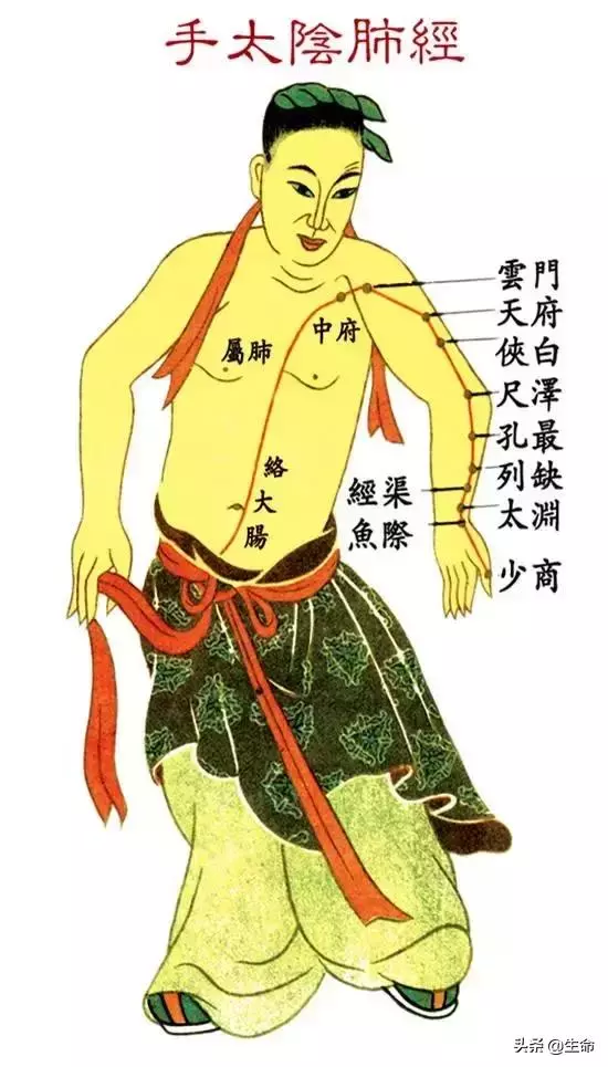 【自學中醫】將十二經絡穴位編成詩竟然這麼美,快來體驗一下