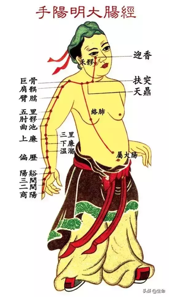 【自學中醫】將十二經絡穴位編成詩竟然這麼美,快來體驗一下