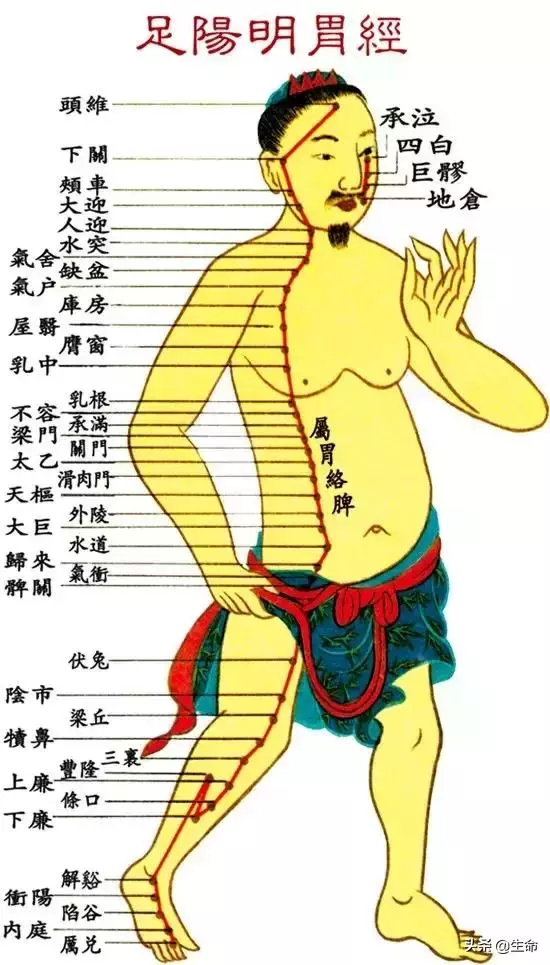 【自學中醫】將十二經絡穴位編成詩竟然這麼美,快來體驗一下