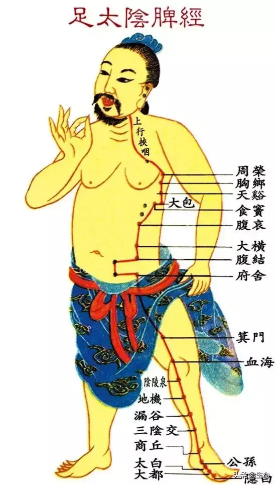 【自學中醫】將十二經絡穴位編成詩竟然這麼美,快來體驗一下