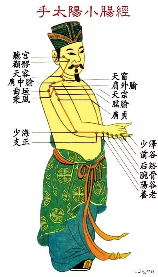 【自學中醫】將十二經絡穴位編成詩竟然這麼美,快來體驗一下