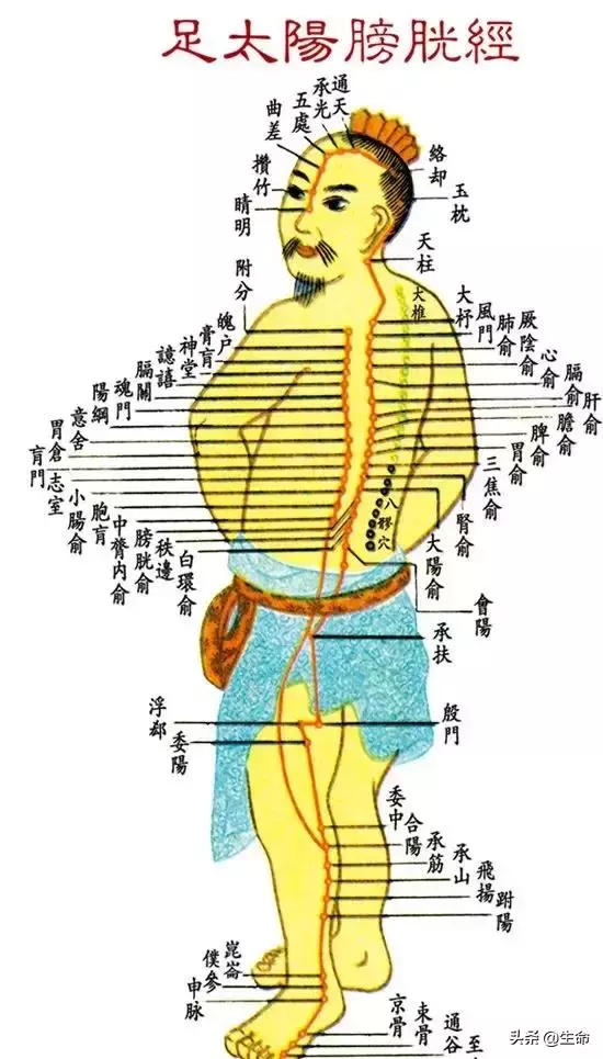【自學中醫】將十二經絡穴位編成詩竟然這麼美,快來體驗一下