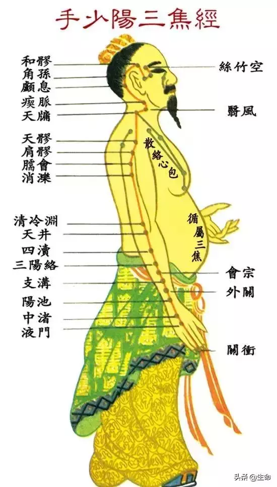 【自學中醫】將十二經絡穴位編成詩竟然這麼美,快來體驗一下