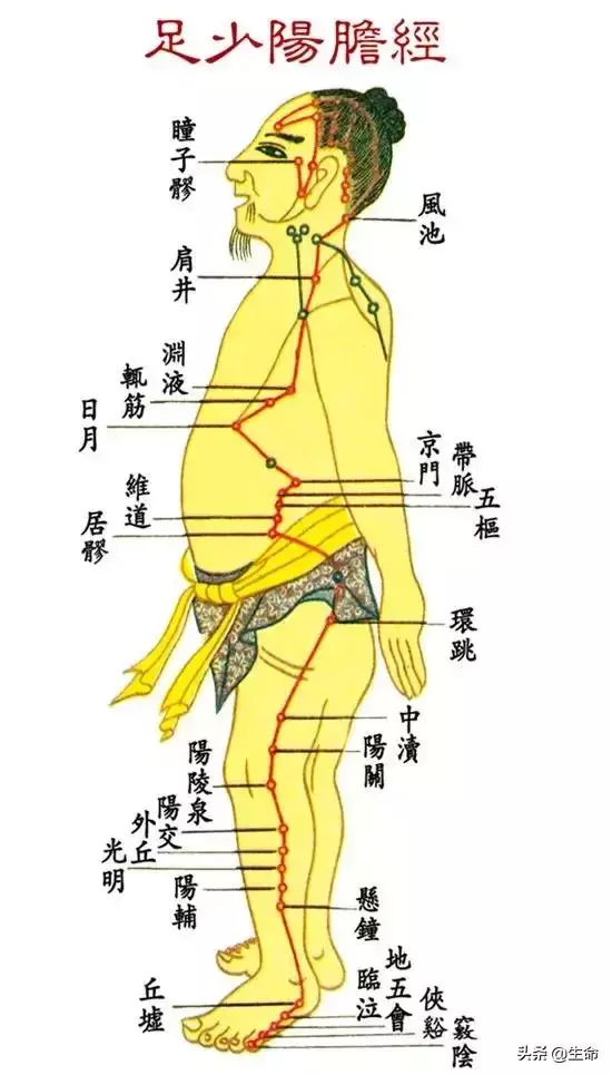【自學中醫】將十二經絡穴位編成詩竟然這麼美,快來體驗一下