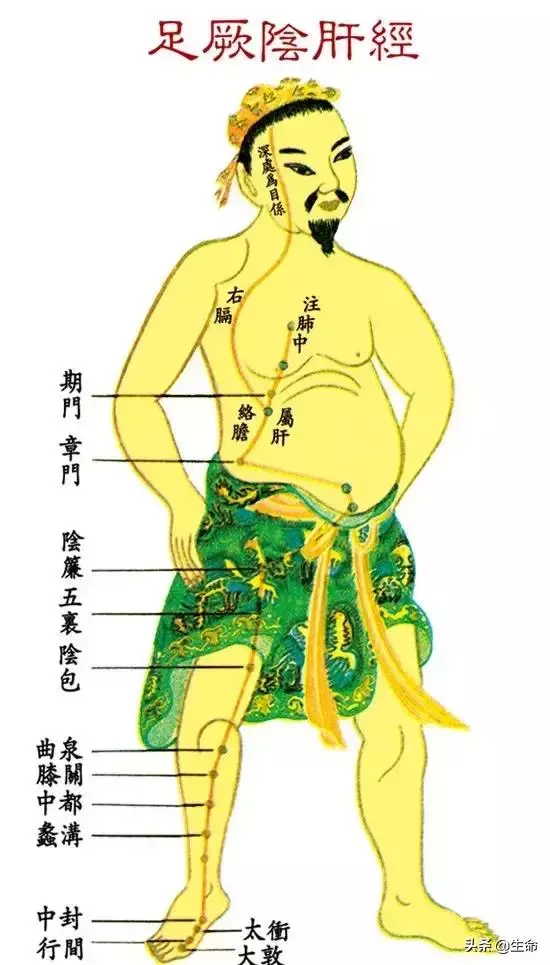 【自學中醫】將十二經絡穴位編成詩竟然這麼美,快來體驗一下
