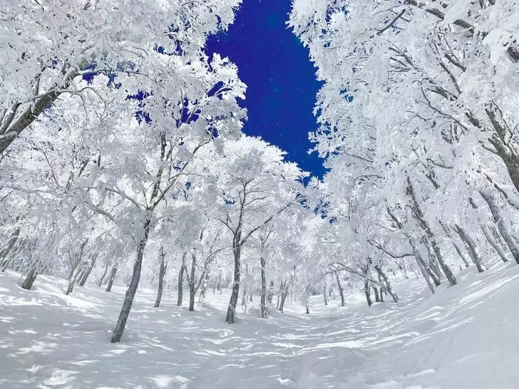 27張讓你相信「天使其實住在地球」的超驚奇照片 紐西蘭的螢火蟲洞超夢幻❤