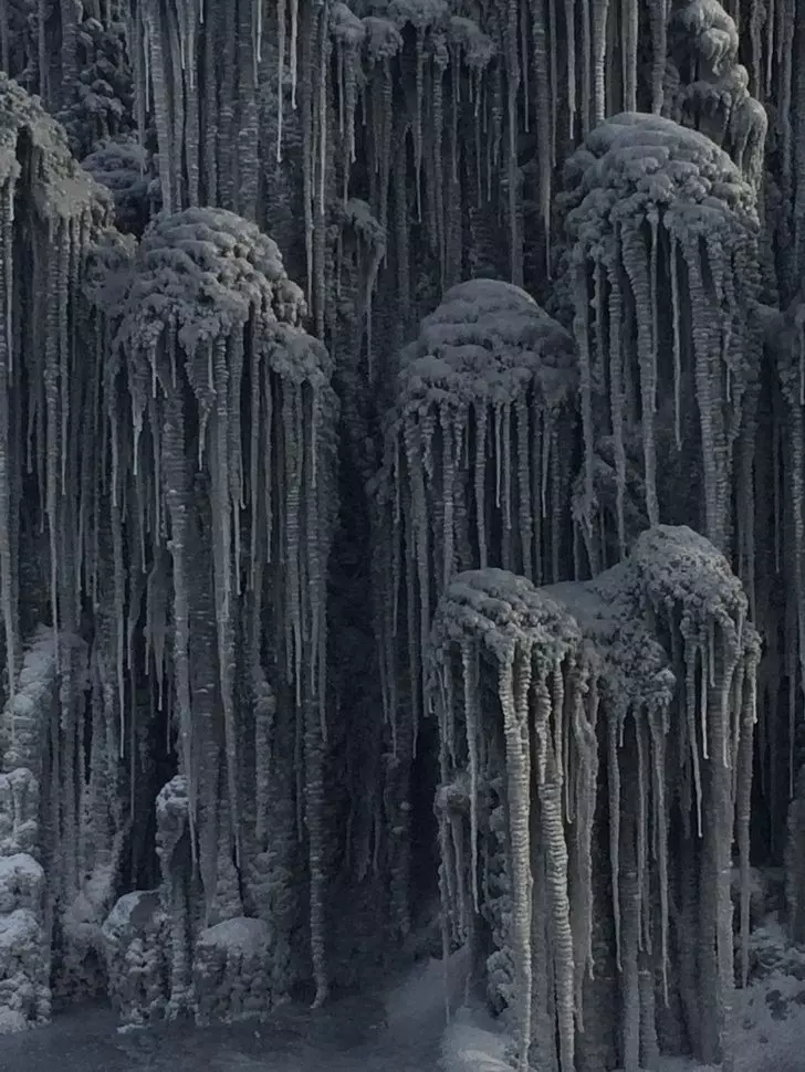 27張讓你相信「天使其實住在地球」的超驚奇照片 紐西蘭的螢火蟲洞超夢幻❤