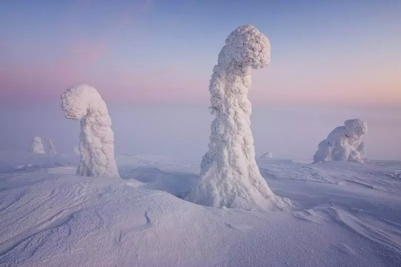 27張讓你相信「天使其實住在地球」的超驚奇照片 紐西蘭的螢火蟲洞超夢幻❤