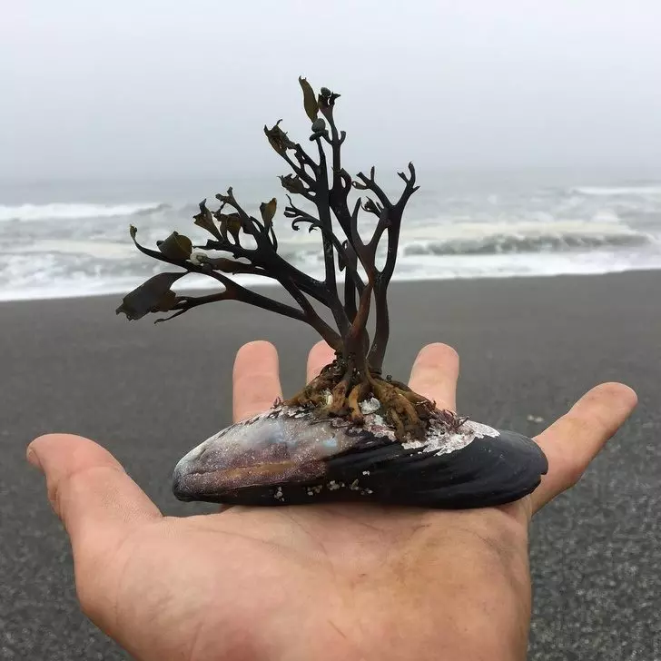 27張讓你相信「天使其實住在地球」的超驚奇照片 紐西蘭的螢火蟲洞超夢幻❤
