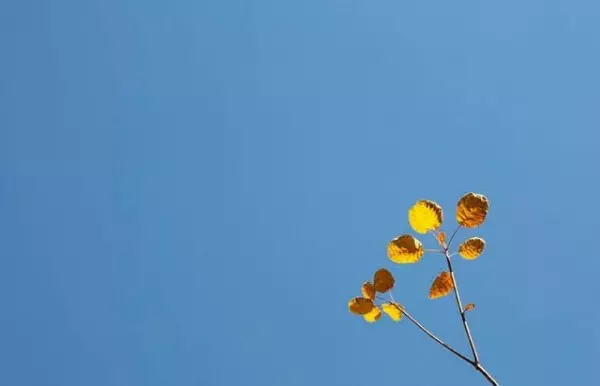 人生沒有一帆風順!失意時請牢記:三件事要隱瞞,三件事要張揚