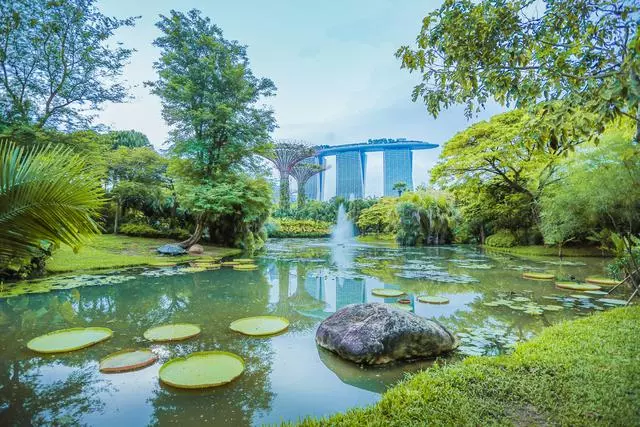 這裡被人們譽為「花園城市」,如今卻也被稱為「菜園城市」!