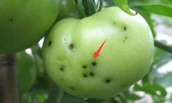 菜市場「最髒」的3種蔬菜,吃一口傷一次肝,很多人還不知道!