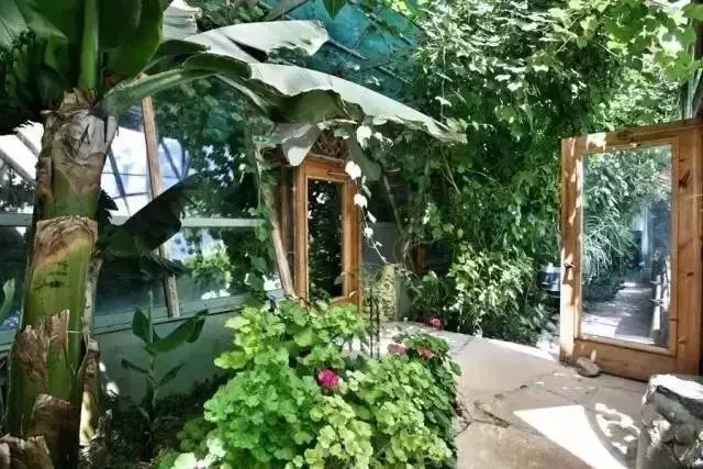 他「用垃圾建豪宅」50年來不繳水電費「超狂發想」給了全世界希望