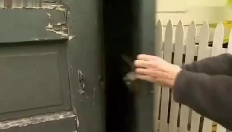 72歲大爺找到自己30歲買的蘭博基尼,打開後備箱時倒吸一口涼氣!