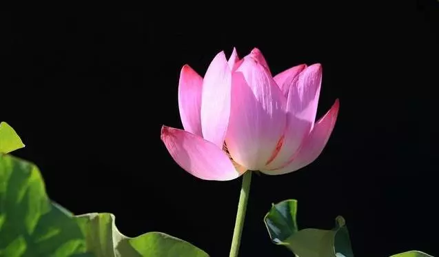 兩個相愛的人注意:男人心要寬,女人心要善,愛才能長久