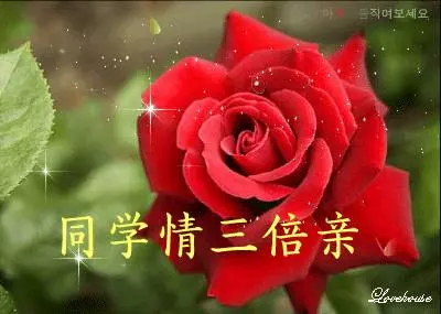 致所有老同學:一輩子真的很短,趁我們能聚就聚吧!這些話我想親自跟你說...