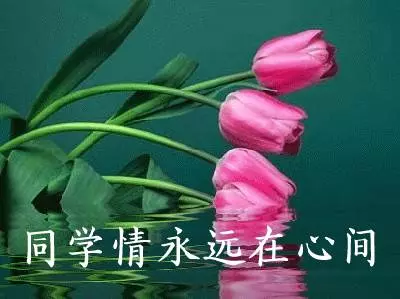 致所有老同學:一輩子真的很短,趁我們能聚就聚吧!這些話我想親自跟你說...