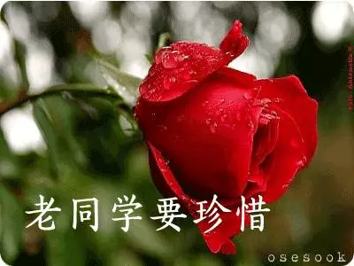 致所有老同學:一輩子真的很短,趁我們能聚就聚吧!這些話我想親自跟你說...