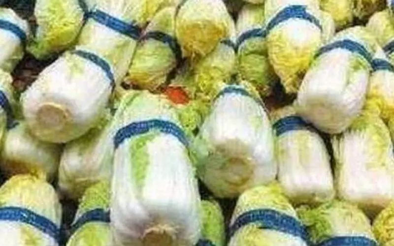 菜市場最「臟」的3種蔬菜,很多人還不知道,常吃會讓你中毒、患癌、暈眩,把家裡的也扔了吧