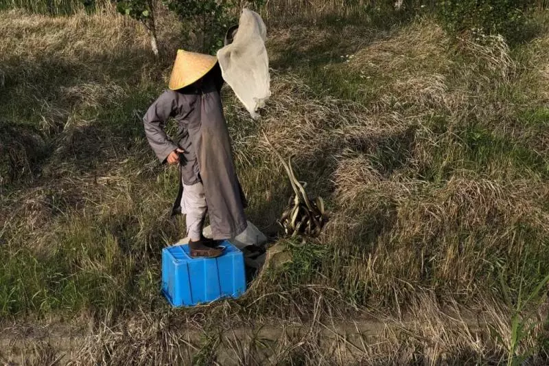 花和尚8年帶女人「生下200個孩子」 真相曝光被網讚:真正的菩薩!