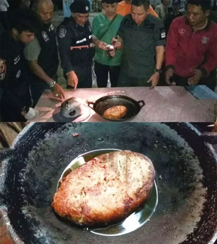 緬甸男子捕獲河豚,嘴饞吃光光,半小時後2名工友死了!