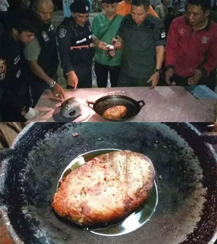 緬甸男子捕獲河豚,嘴饞吃光光,半小時後2名工友死了!