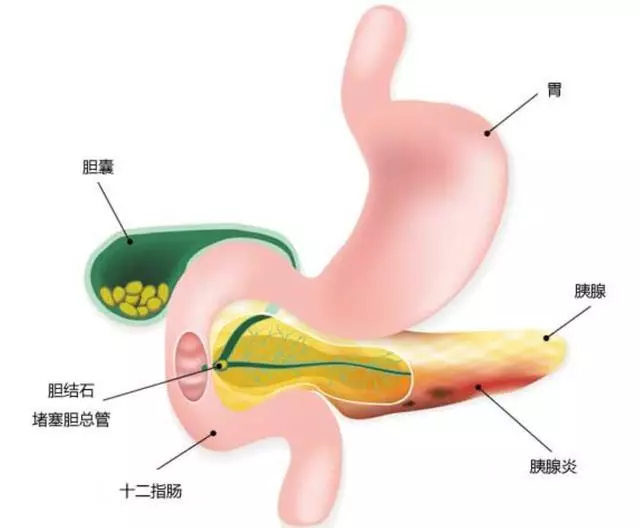 不需要藉助任何儀器設備,中醫問診厲害在哪裡?
