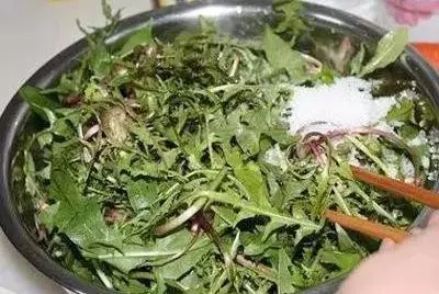 3種野菜,春天趕緊種上,清熱解毒,涼拌炒菜越嚼越香!