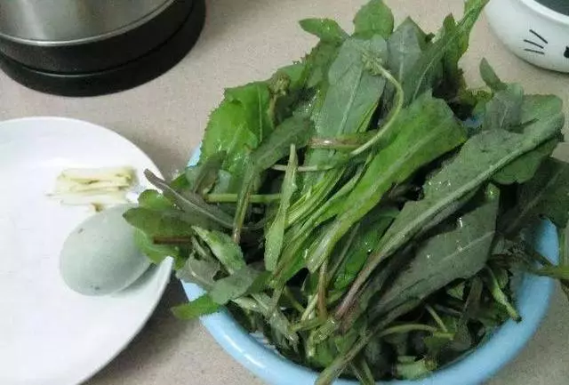 3種野菜,春天趕緊種上,清熱解毒,涼拌炒菜越嚼越香!