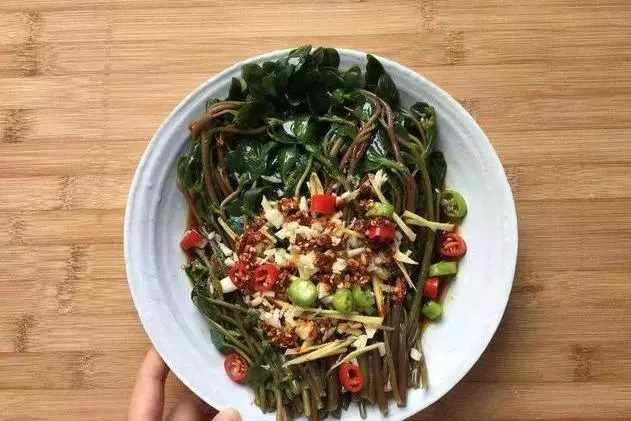 3種野菜,春天趕緊種上,清熱解毒,涼拌炒菜越嚼越香!
