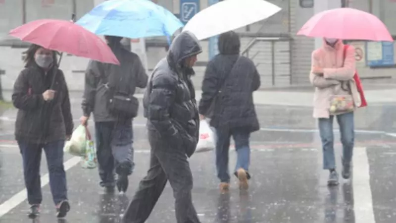 好天氣只有1天!氣象局宣布「明天全台有雨」假期沒了 乍暖還寒「這天只剩下15度」