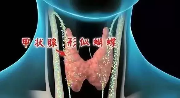 經常口乾,喝水也不管用?這六個原因要逐一排查!